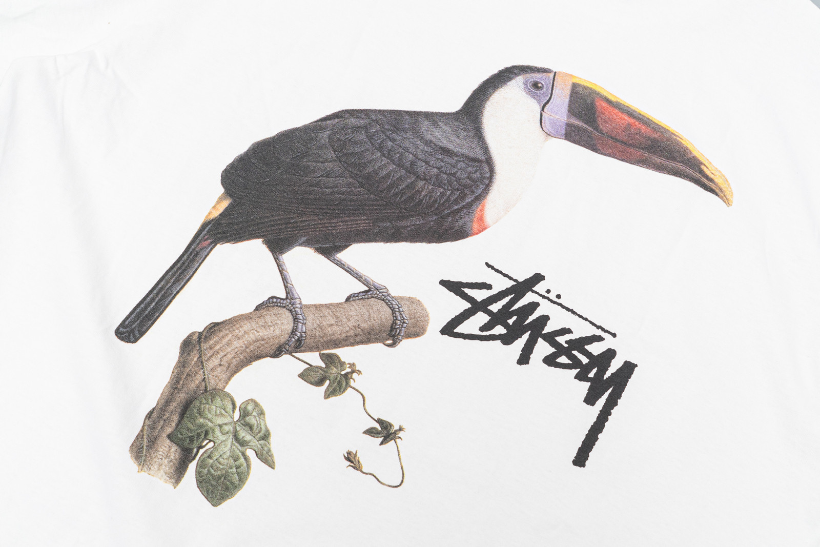 Stussy Toucan Tee White - GLAB.VN