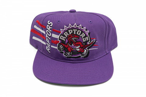 Mitchell & Ness Raptors Retro Bolt Snapback Purple